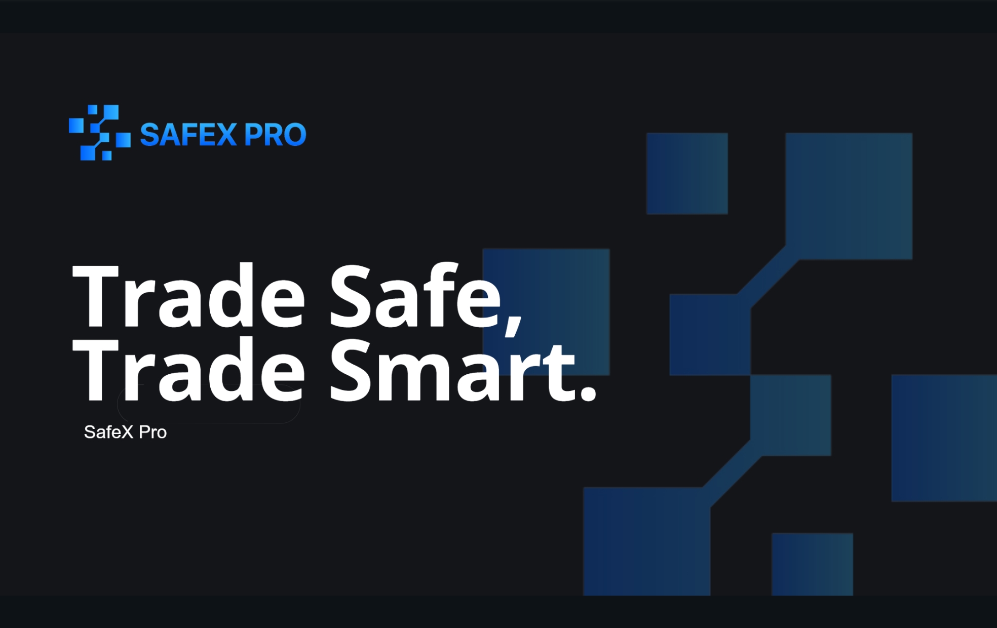 SafeX Pro Photo